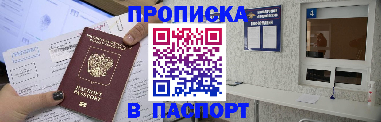временная регистрация для школы в Борзе